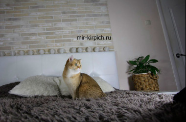Декоративный кирпич Лондон 052 в интерьере комнаты