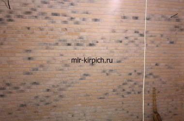 Гипсовый кирпич Орли  Париж 052 в интерьере студии