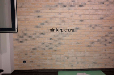 Гипсовый кирпич Орли  Париж 052 в интерьере студии